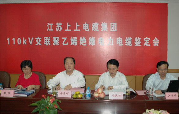 asiagame额定电压110kV交联聚乙烯绝缘电力电缆产品通过判断