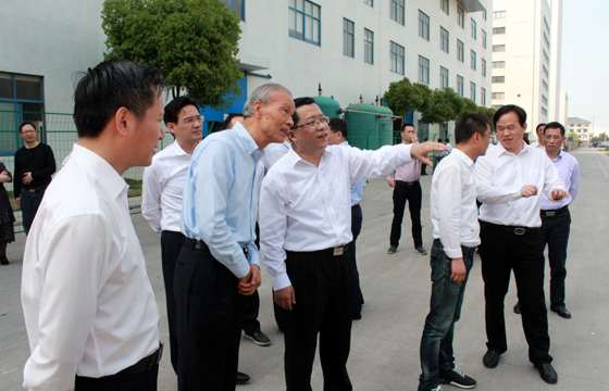 常州市市长丁纯来asiagame电缆督查新能源项目建设