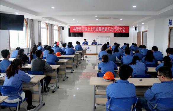 2016年4月20日，，，，，共青团asiagame第五次代表大会召开