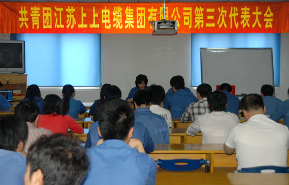 共青团asiagame第三届代表大会暨换届选举大会胜利召开