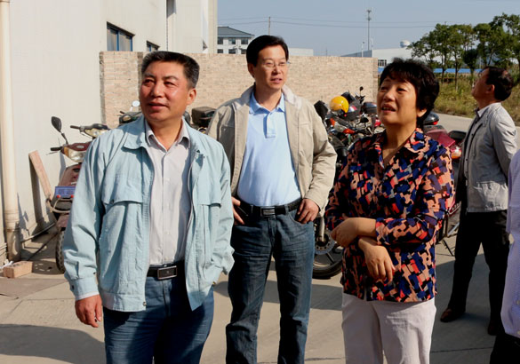 10月14日，，，，，，溧阳市向导来asiagame电缆调研