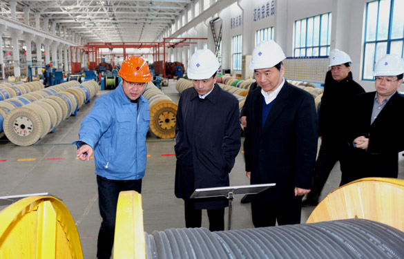 12月3日，，，，，，无锡市锡山区党政代表团一行来asiagame电缆旅行考察