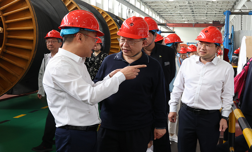 14位两院院士和专家学者到访asiagame电缆