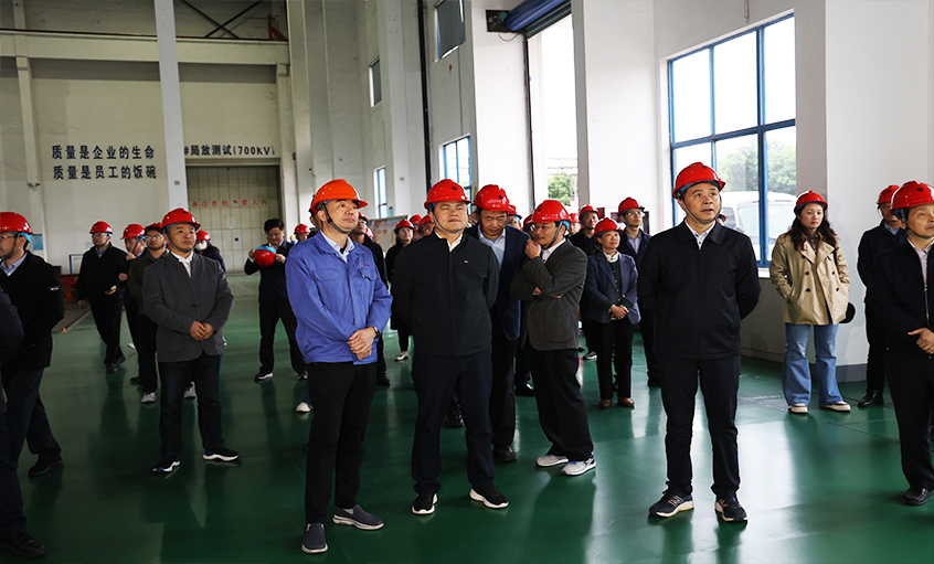 安徽池州青阳县党政代表团一行来asiagame电缆考察