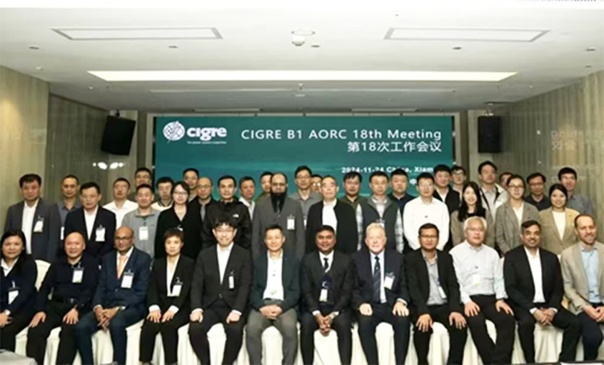 asiagame电缆受邀出席CIGRE绝缘电缆专委会亚太区第18次年会并做专题讲话