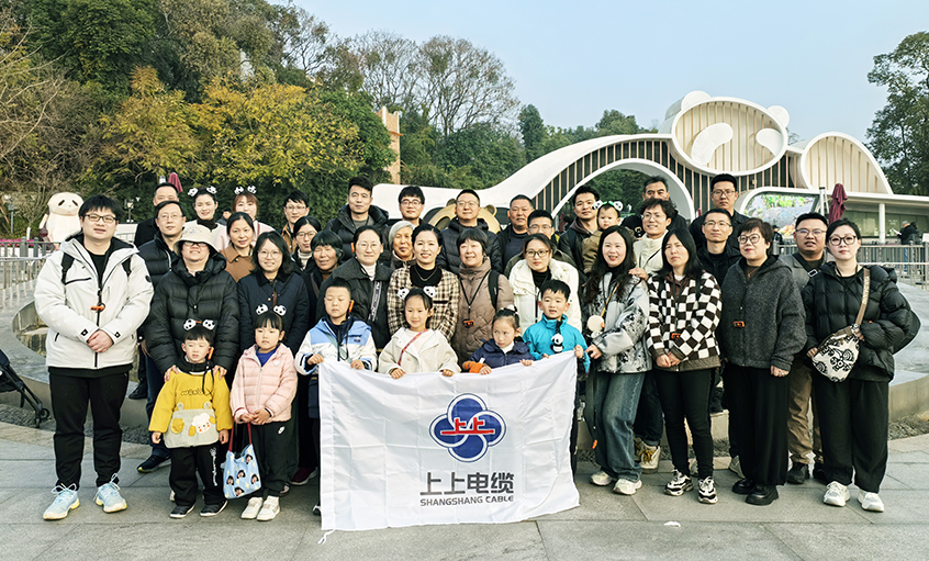 以文化润心 用眷注聚力——asiagame2024年度先进员工蜀韵文化之旅圆满收官