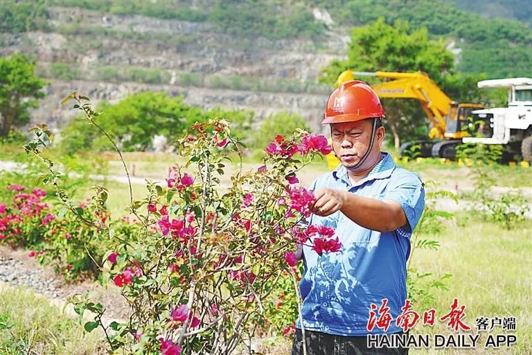 海南这座矿山，为何这么绿？4.jpg