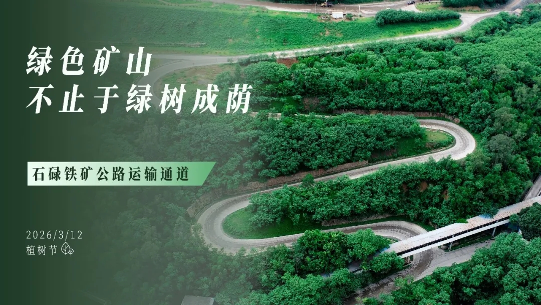 植树节 | 绿色矿山，不止于绿树成荫